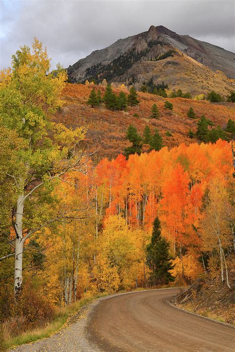 Backroad Fall Colors Near Telluride Co Photograph By Ray Mathis Pixels