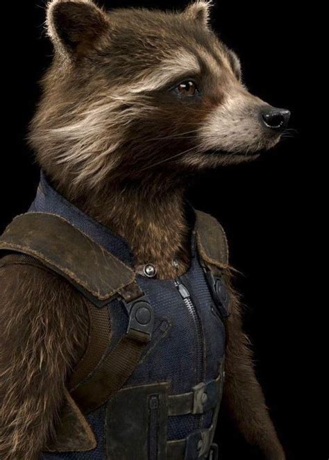 pin by andrás tóth on rocket rocket raccoon guardians of the galaxy