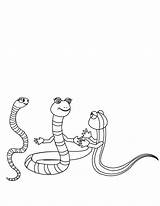 Snakes Coloring Pages Undersea Print Index sketch template