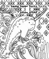 Coloring Narwhal Pages Narwhale Adults Jelly Cool Fun Unicorn Realistic Kids Printable Cute Getdrawings Adult Coloringpages Wixsite sketch template