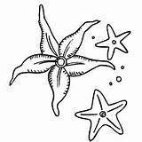 Starfish Coloring Pages Star Print Sea Kids Getcolorings Printable Color Momjunction Printables Different Three Ones Little Getdrawings sketch template