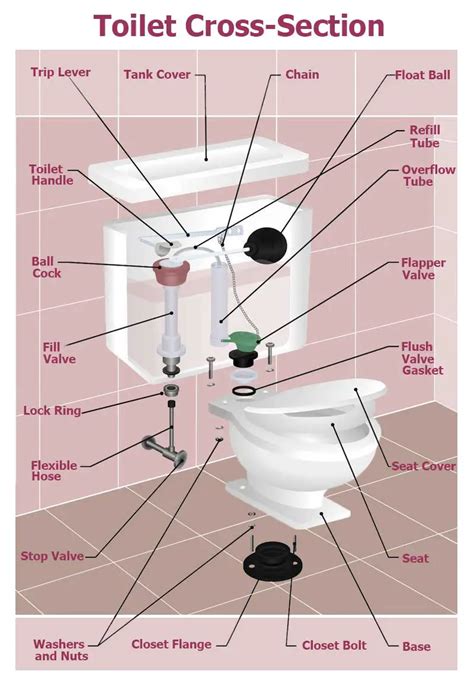 american standard toilet schematic