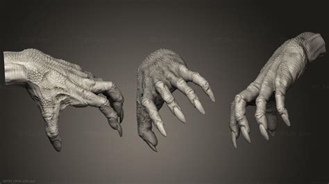 anatomiya skelety  cherepa ruka monstra  antm  model dlya