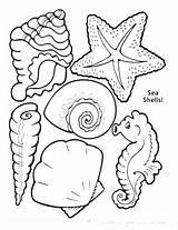 Zigzag Coloring Pages Getdrawings sketch template