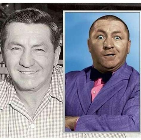 Curly Howard With Hair The Three Stooges Classic Comedies The Stooges