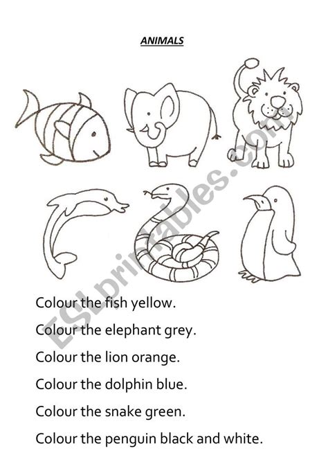 animal colouring sheet esl worksheet  alext