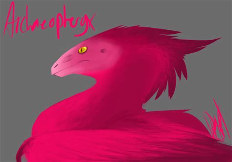 Pink Archaeopteryx — Weasyl