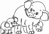 Coloring Elephant Pages Adult Popular sketch template
