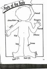 Body Parts Preschool Head Activities Shoulders Toes Coloring Knees Pages English Kids Kindergarten Worksheet Puzzle Worksheets School Jigsaw Primary Song sketch template
