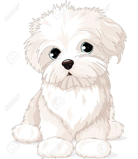 maltese coloring pages gallery   puppy drawing dog drawing