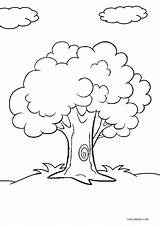 Tree Coloring Pages Printable Kids Cool2bkids Trees Drawing Colouring Cartoon Adult Choose Children Board sketch template