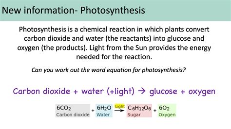 photosynthesis aqa ks activate  teaching resources
