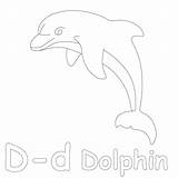 Coloring Pages Dolphins Baby Getcolorings Perfecto sketch template