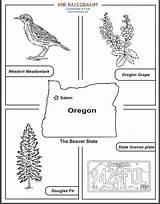 Oregon State Coloring Symbols Pages Tree Worksheets Flower Kids Bird Color License Plate Printable Choose Board Outline Nature Birds sketch template