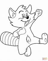 Coloring Cartoon Raccoon Pages Printable Raccoons Categories sketch template