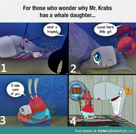why mr krabs has a whale daughter fun stuff pinterest fun daughters and whales