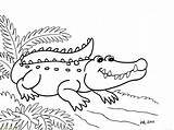 Coloring Croc Crocodile Nile Pages Getdrawings Drawn Getcolorings sketch template