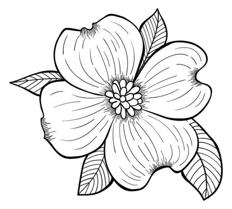 floral coloring pages set   printable pages etsy