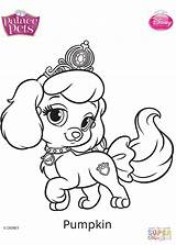 Pets Coloring Pumpkin Palace Pages Princess Drawing Printable Kids Disney Dot sketch template