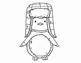 Pinguino Cappello Acolore sketch template