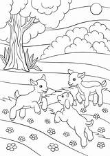 Goat Coloring Baby Pages Cute Color Kids Little Farm Getcolorings Getdrawings Printable Colorings sketch template