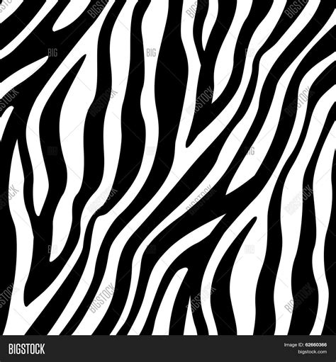 zebra stripes seamless pattern stock vector stock  bigstock