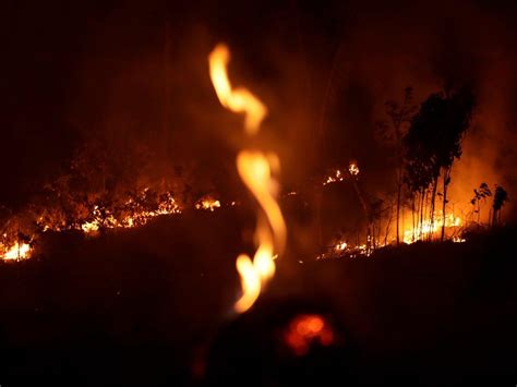 Nearly 2 000 New Fires Have Started In The Amazon In The Past 48 Hours