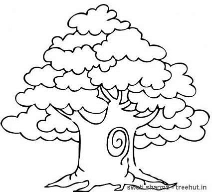 trees coloring pages  clipart