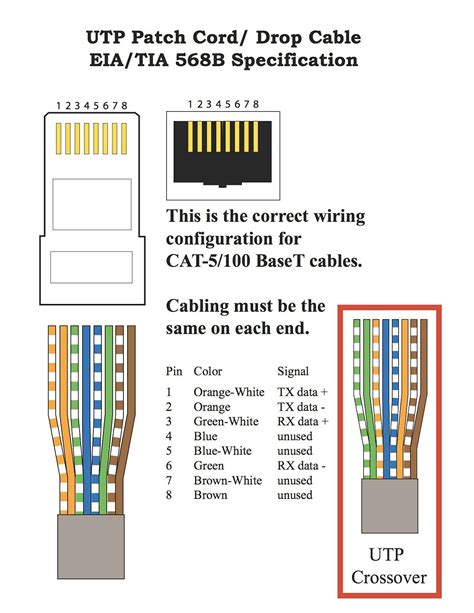 cat  wiring diagram wall jack    guide ikuseinet