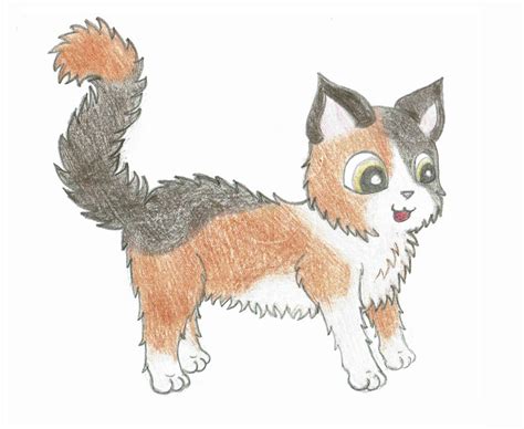 fluffy calico cat drawing  craftyemily  deviantart