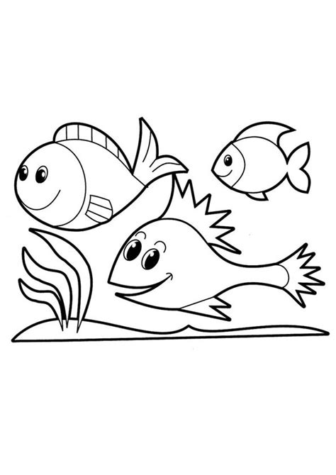 fish coloring page  kids