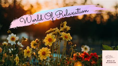 relaxation video with beautiful music world of