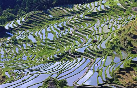 hidden wonders  japan preserving maruyamas thousand rice paddies