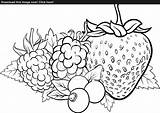 Berry Printable sketch template