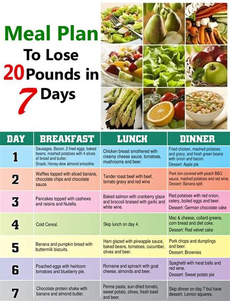 diet plan lose  pounds diet plan