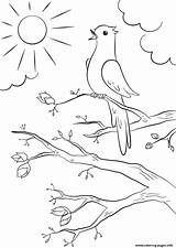 Coloring Spring Bird Pages Printable sketch template