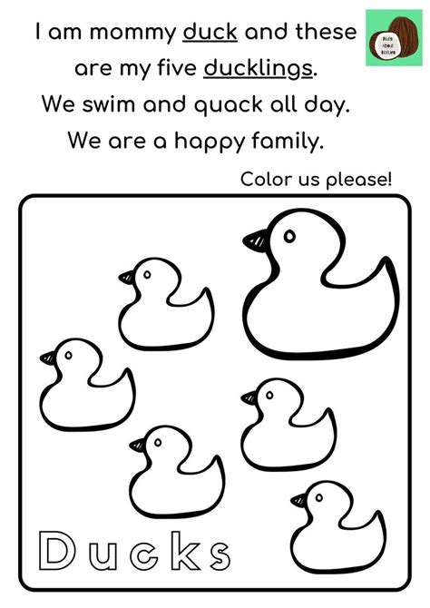 ducks read  colour worksheet nature kids
