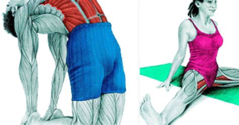 Identify The Muscle You Re Working—and Whether You Re