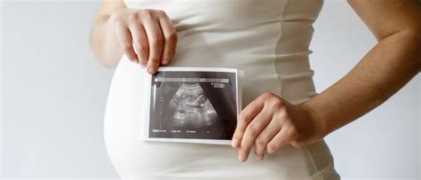 qué nos dicen las ecografías del embarazo bekia padres