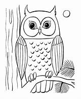 Owl Coloring Baby Pages Printable Animal Colouring Kids Owls Sheets Sheet Coloriage Easy Animals Drawing Hibou Clipart sketch template