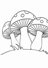Mushroom Coloring Pages Printable Set Books Cat Parentune sketch template