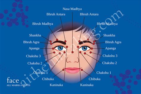 marma points chart  complete breakdown aithein healing