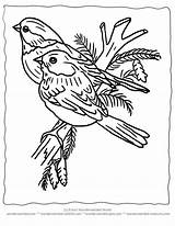 Coloring Winter Pages Printable Bird Christmas Color Birds Kids Wildlife Adult Sheets Activities Book Clipart Print Stencil Sheet Colouring Resources sketch template