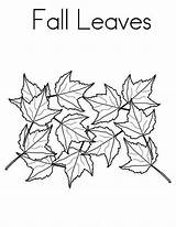 Leaves Coloring Fall Tree Maple Leaf Pages Autumn Season Color Netart Getcolorings Print Printable sketch template