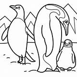 Coloring Penguin Pages Arctic Animals Kids Penguins Animal Sheets Printable Emperor Polar Baby Color Cute Family Colouring Their Preschool Snowshoe sketch template