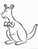 Kangroo Coloring Pages Part Zoom Print sketch template