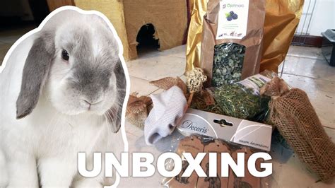 unboxing friandises pour lapins youtube