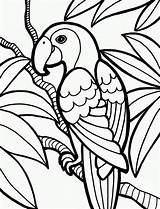 Jungle Coloring Pages Kids Animal Printable Sheets Easy Simple Choose Board Print Toddlers Book sketch template