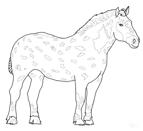 coloring pages  realistic horses  getdrawings