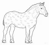 Coloring Pages Horse Realistic Horses Printable Mustang Color Ponies Pony Getcolorings Getdrawings sketch template